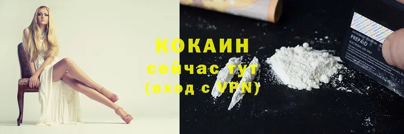 наркотики  Бердск  КОКАИН Fish Scale 